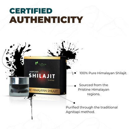 MaxPower Shilajit