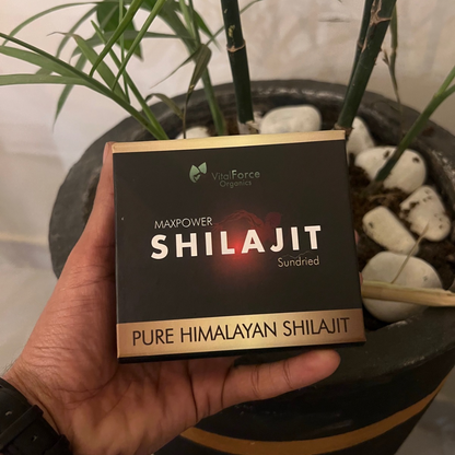 MaxPower Shilajit